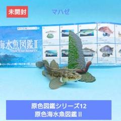2025年最新】原色図鑑シークレットの人気アイテム - メルカリ