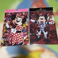 Disney - ディズニーリゾート  ジグソーパズル イマジニングザマジック 新品未使用 Disney - ☆ディズニーリゾート限定☆ 実写 イマジニングザ