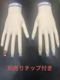 JNEC認定 滝川 STモデルハンド 右手 左手 両手セット  ネイリスト技能検定試験｜マイナスイオンドライヤー／ヘアアイロン／理容用品通販サイト『ブライト』