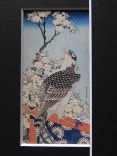 岡田博明、【古木の桜】、希少画集画より、状態良好、新品高級額装付 岡田博明、【古木の桜】、希少画集画より、状態良好、新品高級額装付