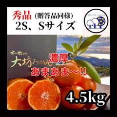源助!樹熟大坊みかん(秀品) 7kg 2025年最新】木熟大坊みかんの人気アイテム - メルカリ