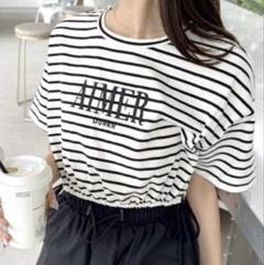 【OLIVE des OLIVE】裾リボンクロップドTシャツ (F) ボーダー