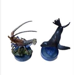 サンシャイン水族館フィギュアコレクション　コンプセット Amazon.co.jp: サンシャイン水族館フィギュアコレクション全10種