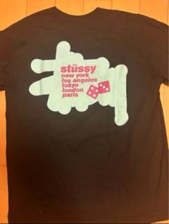 stussy tee tシャツ　STUSSY Lサイズ　レア　希少