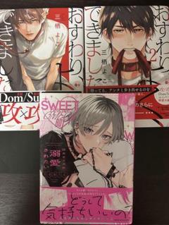 BL漫画 まとめ売り BL まんが まとめ売り 28冊セット