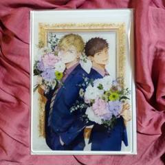 苑生 「兎の森」限定特典 7点セット カード リーフレット