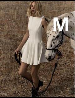 ZARA スケーターワンピース　XS 新品タグ付き ZARA ZW COLLECTION スケーターワンピース グレー XS