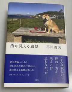 【匿名配送】海の見える風景