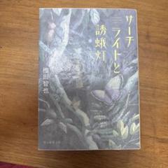 サーチライトと誘蛾灯