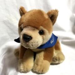 グーグーワールド 柴犬 ぬいぐるみ - メルカリ