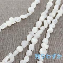 es289/SALE！シェル◇2連