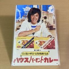 西城秀樹 カレースプーン パンフレット 🌈そら☆*:.｡. on X: 