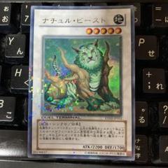 ナチュル・ビースト シークレット DTC1-JP082 PSA9鑑定済〕ナチュルビースト【シークレット】{DTC1-JP082