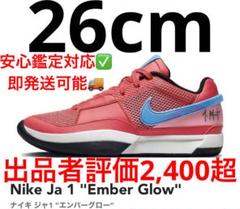 ja1 ジャ1 ペイントあり　(箱あり) 26cm 2025年最新】nike ja 1 26の人気アイテム - メルカリ