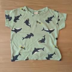 Simple Free サメ柄ミントグリーンTシャツ 100