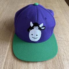 ダイナソーjr キャップ　Mishka ミシカ　美品ですが難があります。 ダイナソーjr キャップ Mishka ミシカ 美品ですが難があります