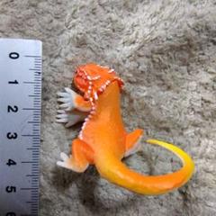 チラッとのぞき見レオパたち フトアゴヒゲトカゲ　ガチャ
