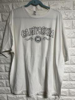 デルタ　プロウェイト カリフォルニア ベアー Tシャツ 2XL オーバーサイズ