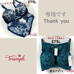 トリンプ フロラーレ 4000 フラワータペストリー E75L トリンプ フロラーレ 4000 フラワータペストリー E75L - メルカリ