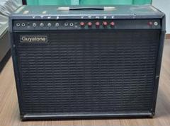 2025年最新】guyatone gaの人気アイテム - メルカリ
