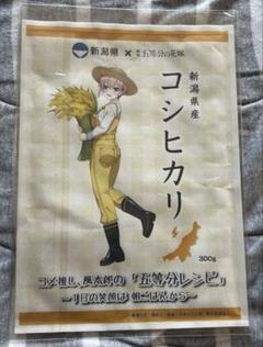 五等分の花嫁 新潟米コシヒカリ 当選品