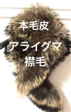 2025年最新】アライグマ毛皮の人気アイテム - メルカリ