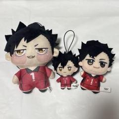 ハイキュー 黒尾 ちょぴぬい ちびぐるみ プチマスコット