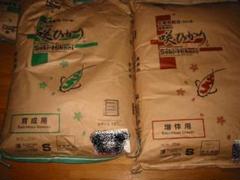 キョーリン 咲ひかり(浮上) 育成用S400g+増体用S400g