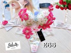 サルート01【下妻物語】D65+ソングMサイズ プッシュアップブラ IV