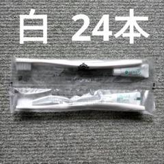 【専用出品・追加分】アパホテル　旧タイプ　歯ブラシ　白 imgrc0075300241.jpg