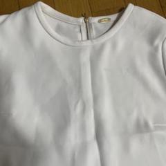 未使用✨MUSE Deuxieme Classe 半袖リブ カットソー 白 2025年最新】MUSE de Deuxieme Classe レディース 半袖(Tシャツ