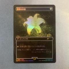 2025年最新】金粉の水蓮の人気アイテム - メルカリ
