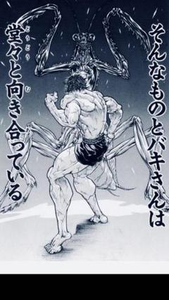 カマキリ 刃牙の中古 未使用品を探そう メルカリ カマキリ 刃牙の中古 未使用品を探そう メルカリ