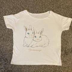 2025年最新】franche lippee フランシュリッペ うさぎの人気