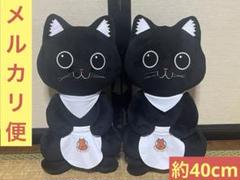 2025年最新】ラーメン赤猫 ぬいぐるみ サブの人気アイテム