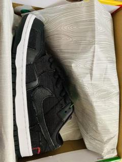 WASTED YOUTH NIKE SB DUNK LOW 28.5cm
