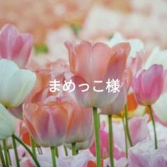 菊　アメリカンフラワー✶ディップフラワー✶ディップアート