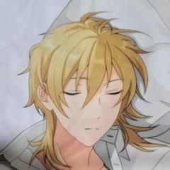 Ensemble Stars! あんスタ 薫 抱き枕 カバー あんスタ 羽風薫 抱き枕カバー UNDEAD 【新品・未開封】 - メルカリ