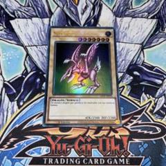 遊戯王 - 遊戯王　ホーリーナイトドラゴン　シークレット　英語 ホーリー・ナイト・ドラゴン/Seiyaryu【シークレットレア】 英語