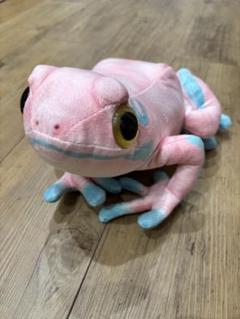 カエル型ぬいぐるみ ピンク 水玉模様 カエル ぬいぐるみ 新品 りあるあにまるず 希少 バイカラー