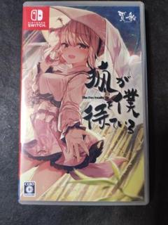狐が僕を待っている　switch
