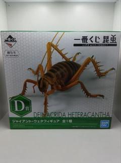 1番くじ D賞 ジャイアント ウェタ 一番くじ