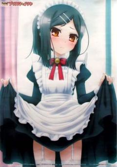 美游・エーデルフェルト 描き下ろし B2タペストリー プリズマ⭐︎イリヤ