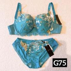 新品 Salute ブラジャー ショーツ セット G75 ワコール ブルー 蒼 新品 Salute ブラジャー ショーツ セット G75 ワコール ブルー