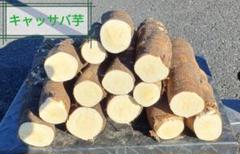 【採れたて直送】静岡県産の黄色甘味種キャッサバ芋20ｋｇ 採れたて直送】静岡県産の黄色甘味種キャッサバ芋20kg