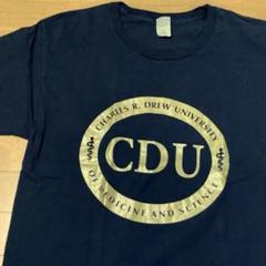 アメリカ古着 英字 プリント Tシャツ L 黒 金 Hanes サークル