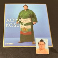 大相撲　大の里　力色紙　大相撲クレーン　証明写真風ステッカー　ラバーキーホ 2025年最新】証明写真風シール 相撲の人気アイテム - メルカリ
