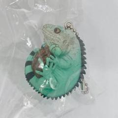 グリーンイグアナ （ブルー) ガチャガチャ