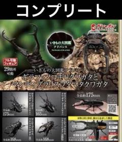 ギャラファノコギリとマンディブラリスフタマタクワガタ　コンプリート品 ギャラファノコギリとマンディブラリスフタマタクワガタ