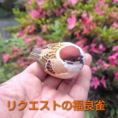 小さなバードカービング ふくらスズメ(福良雀) 野鳥 木彫り 小さなバードカービング ふくらスズメ(福良雀) 野鳥 木彫り